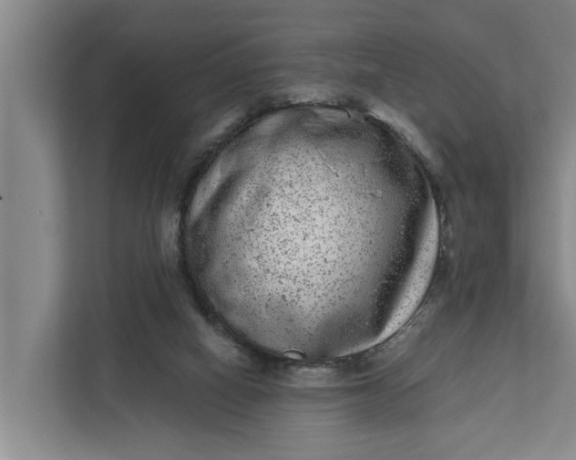 X0000111870066200908061302