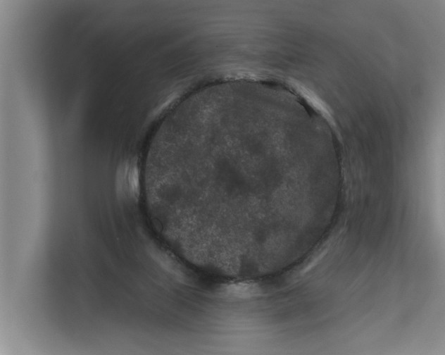 X0000111870067200908061302