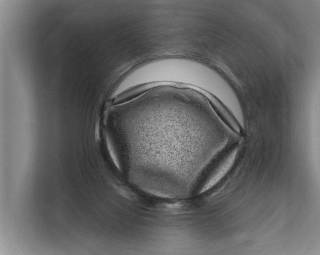 X0000111870068200908061302