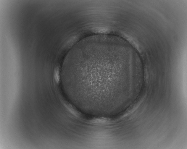 X0000111870069200908061302