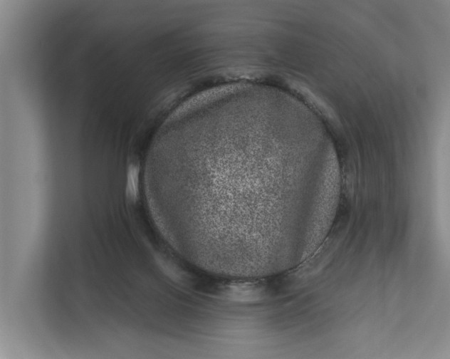 X0000111870070200908061302