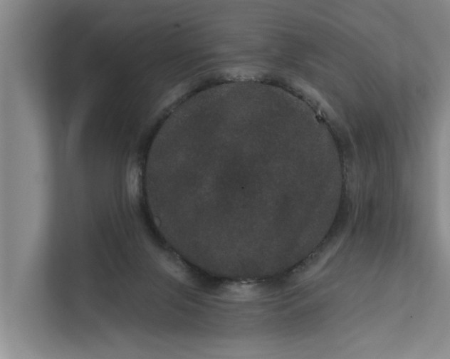 X0000111870071200908061302