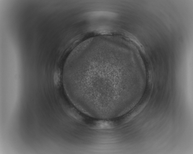 X0000111870073200908061302