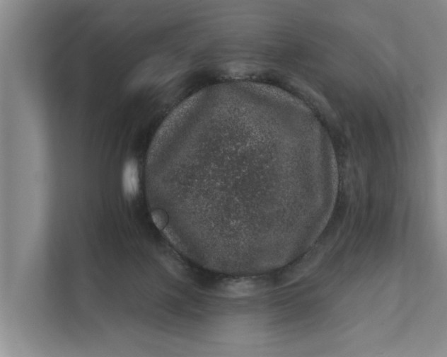 X0000111870075200908061302