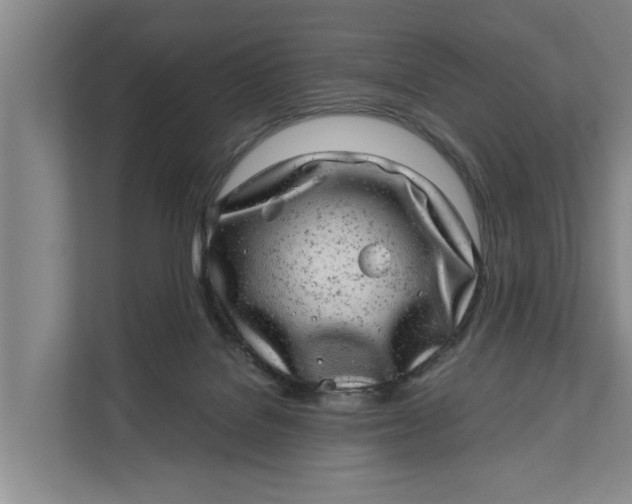 X0000111870076200908061302