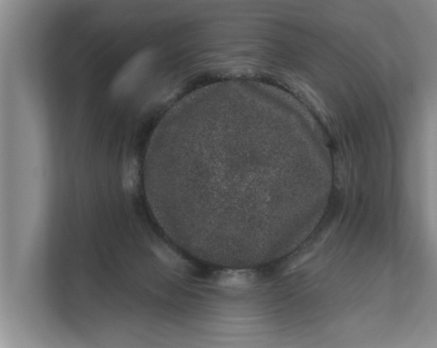 X0000111870077200908061302