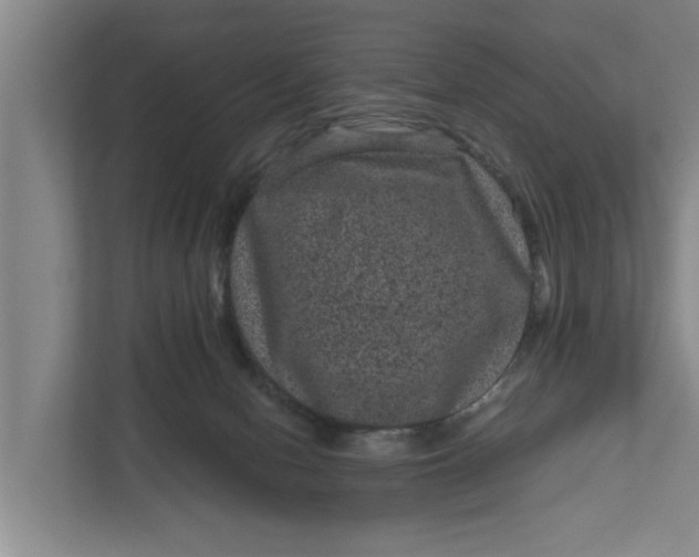 X0000111870078200908061302