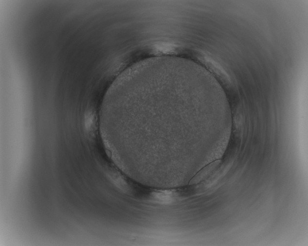 X0000111870079200908061302