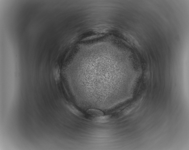 X0000111870081200908061302