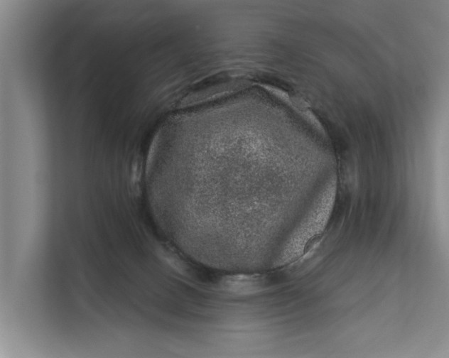 X0000111870082200908061302