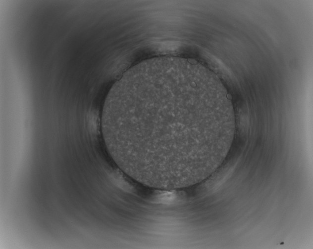 X0000111870083200908061302