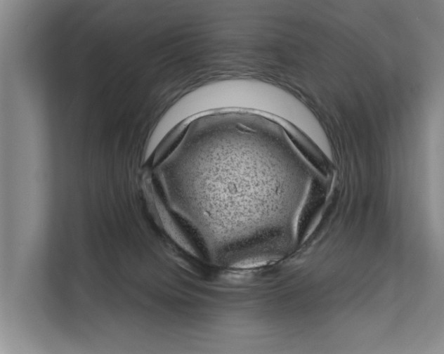 X0000111870084200908061302