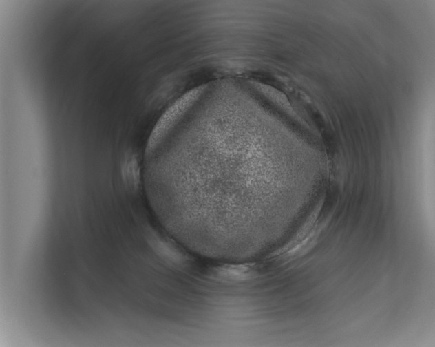 X0000111870086200908061302