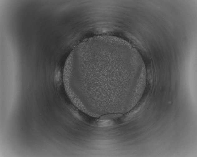 X0000111870087200908061302