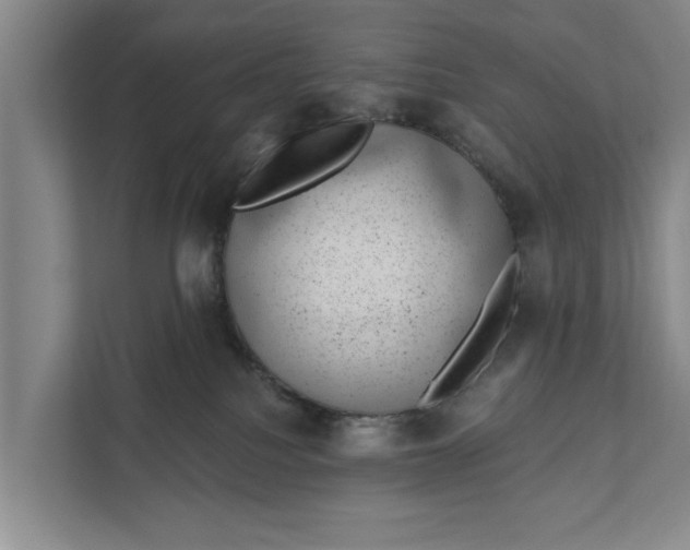 X0000111870088200908061302