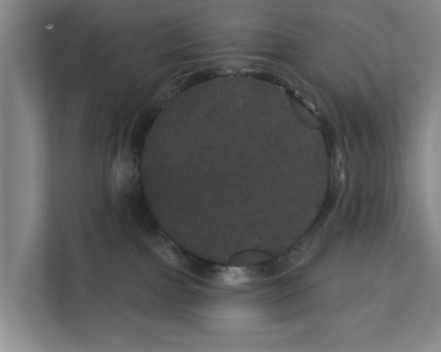 X0000111870091200908061302