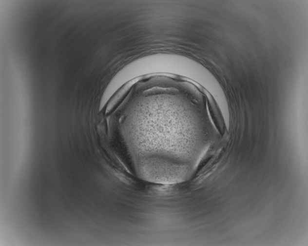 X0000111870092200908061302