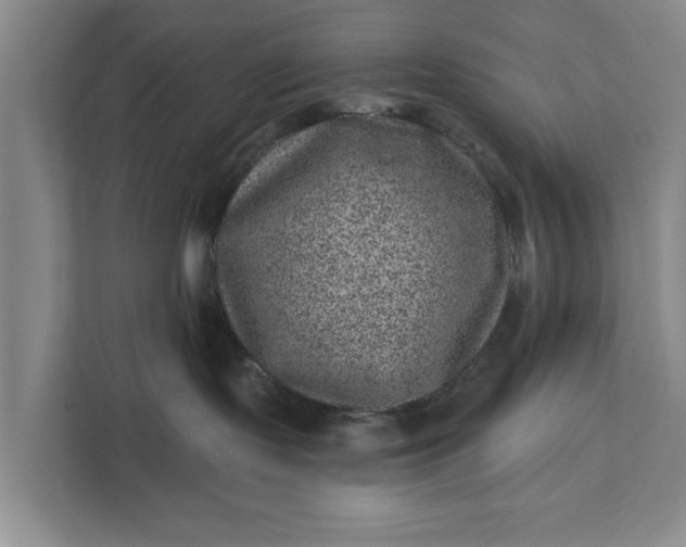 X0000111870095200908061302