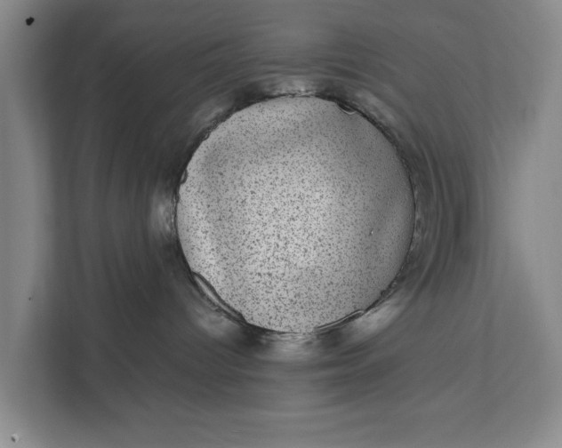 X0000111870096200908061302