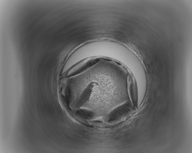 X0000111870097200908061302