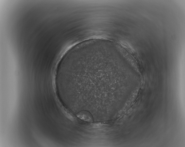 X0000111870098200908061302