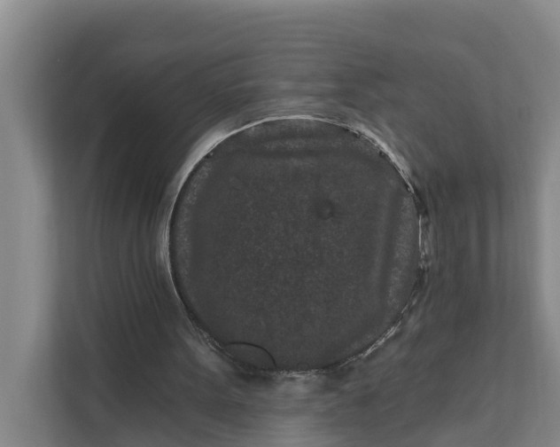 X0000111870099200908061302