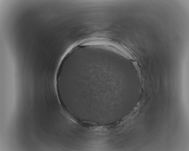 X0000111870100200908061302