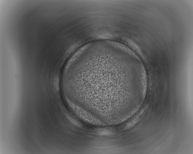 X0000111870106200908061302