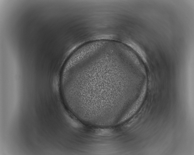 X0000111870107200908061302