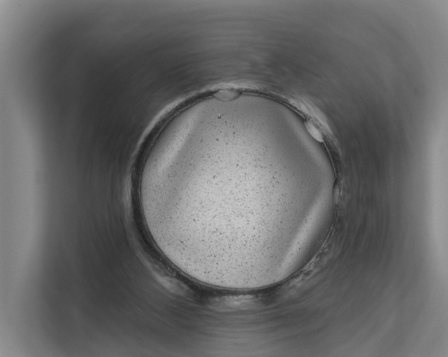 X0000111870108200908061302