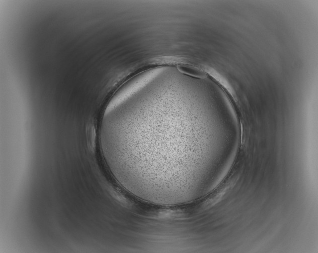 X0000111870109200908061302