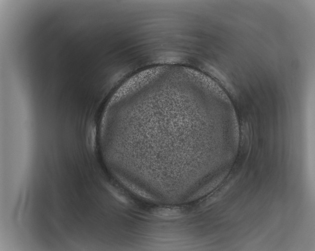 X0000111870110200908061302