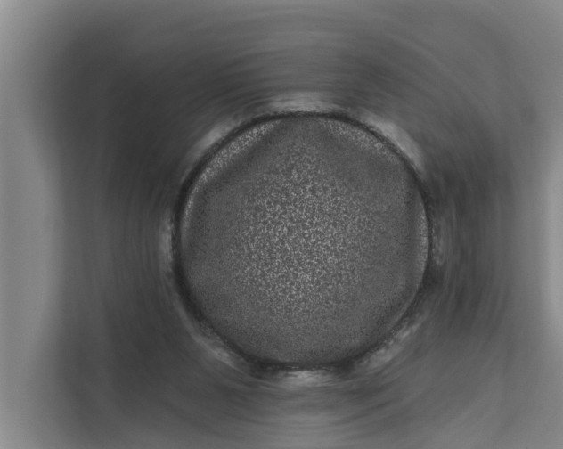 X0000111870111200908061302