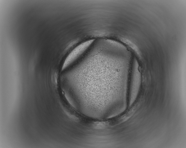 X0000111870115200908061302