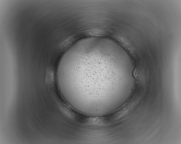 X0000111870117200908061302