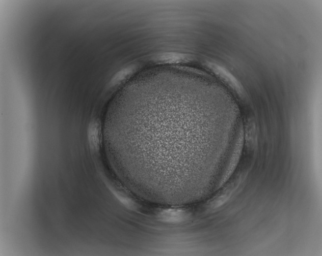 X0000111870119200908061302