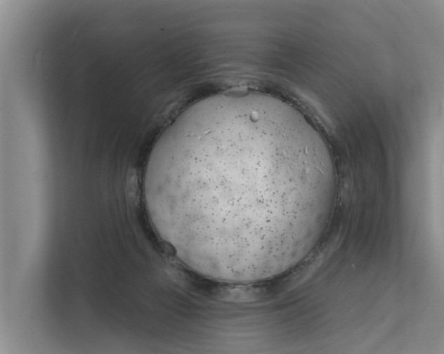 X0000111870121200908061301