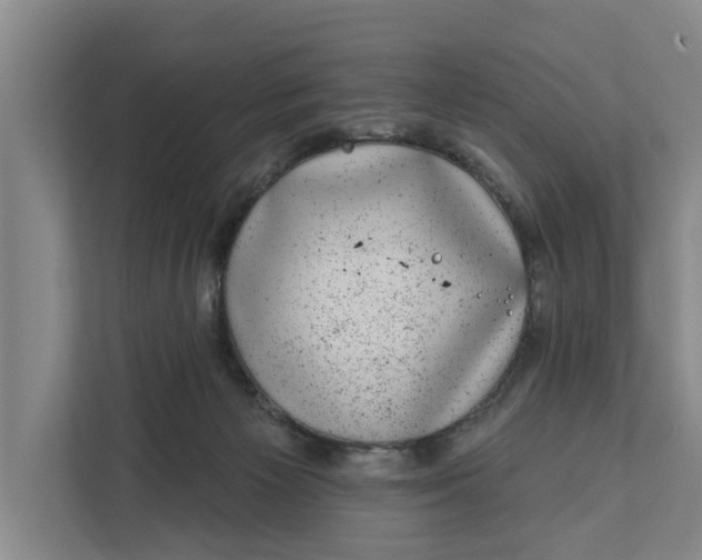 X0000111870125200908061301