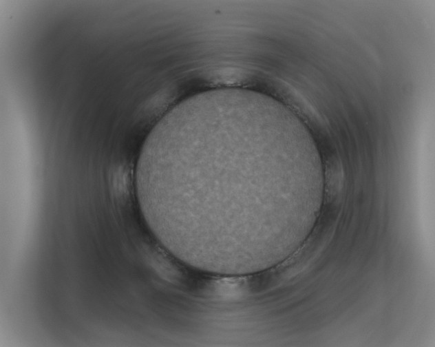 X0000111870126200908061301