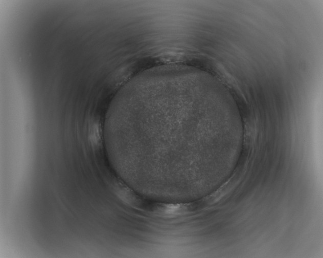 X0000111870130200908061301