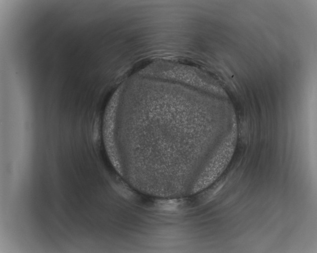 X0000111870131200908061301