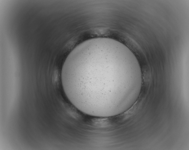 X0000111870132200908061301