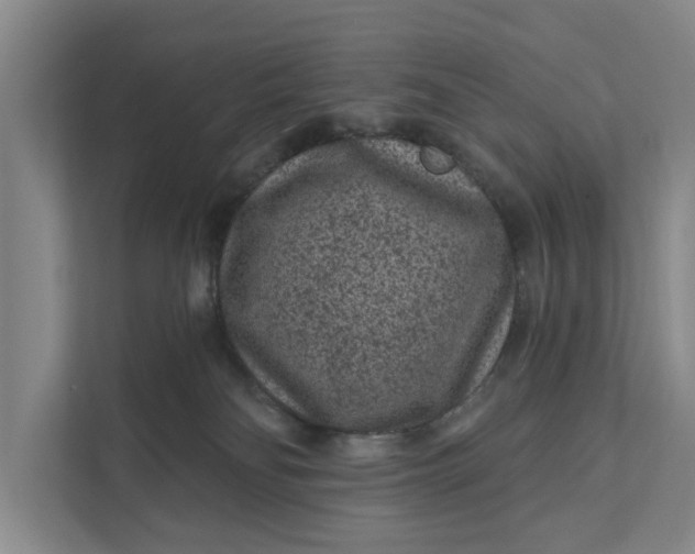 X0000111870134200908061301