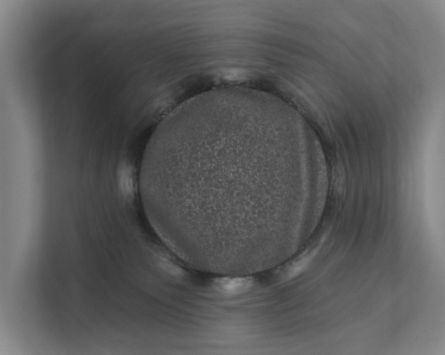 X0000111870135200908061301