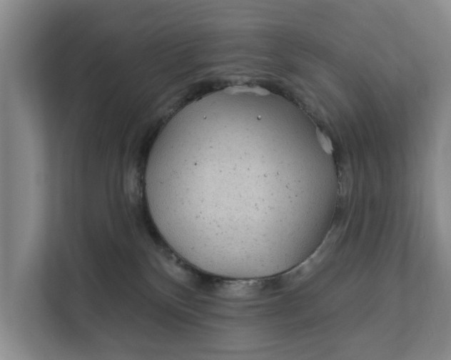 X0000111870136200908061301