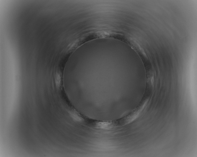 X0000111870139200908061301