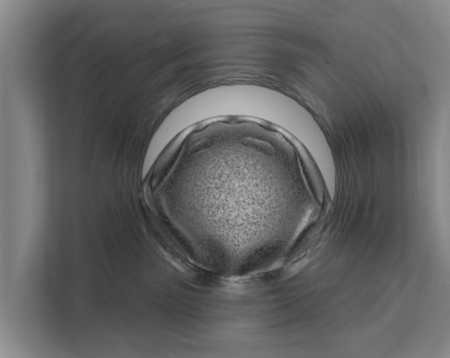 X0000111870141200908061301