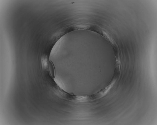 X0000111870143200908061301