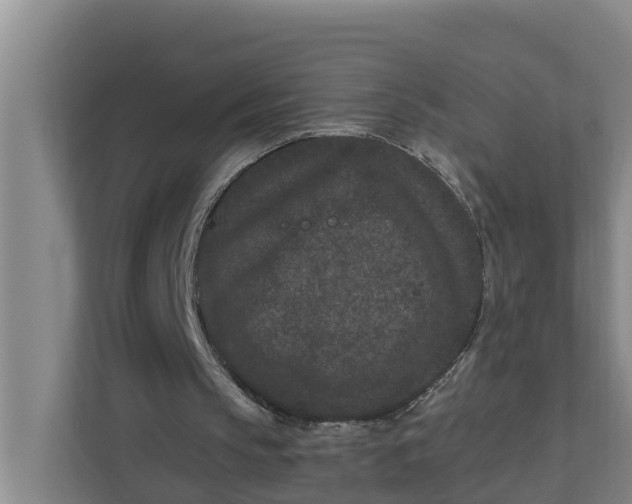 X0000111870145200908061301