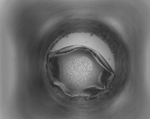 X0000111870146200908061301